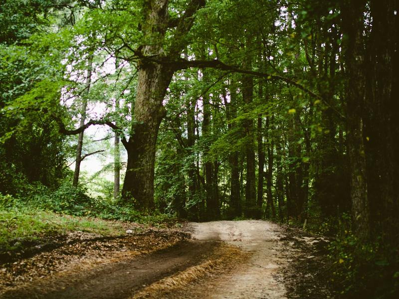 sudoku phone version screenshot 5